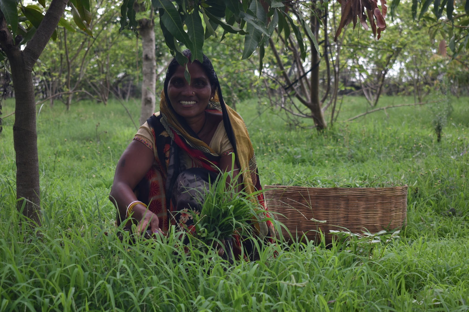 Donate to Hamara Sahyog Bharat Foundation